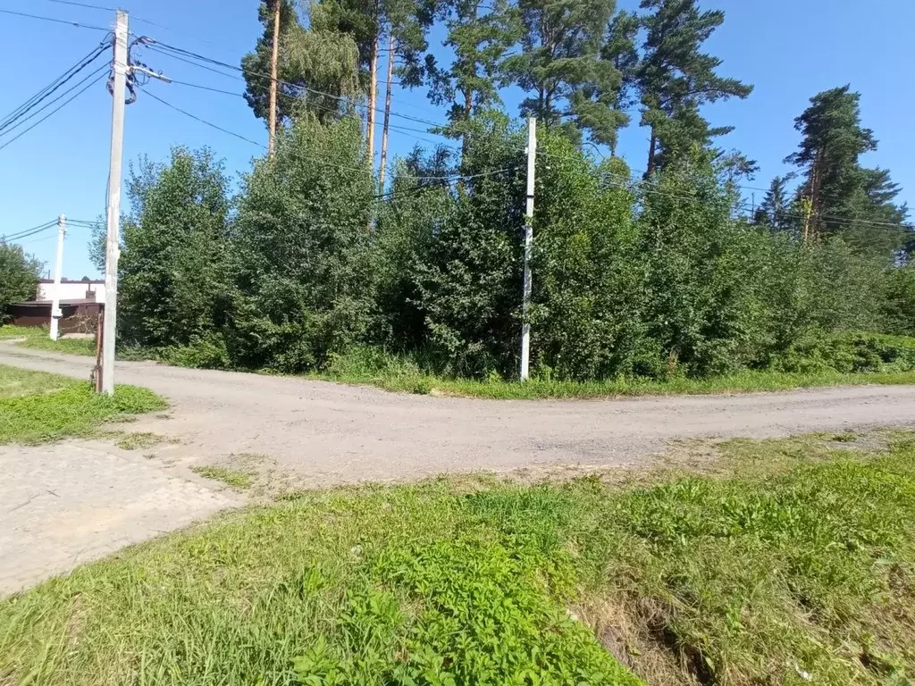 Участок в Ленинградская область, Сертолово Всеволожский район, Черная ... - Фото 1