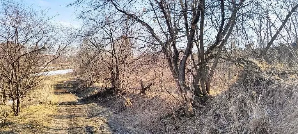 Участок в Новосибирская область, Новосибирский район, Станционный ... - Фото 2