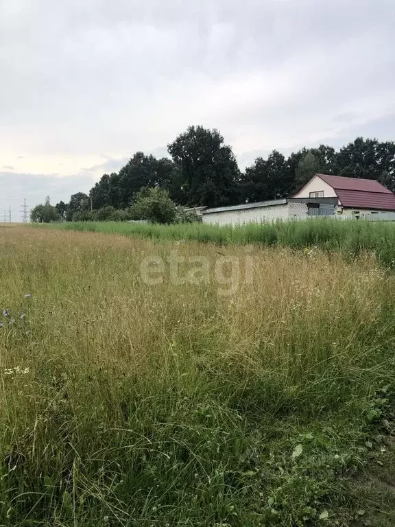 Участок в Брянская область, Брянский район, с. Глинищево ул. ... - Фото 0