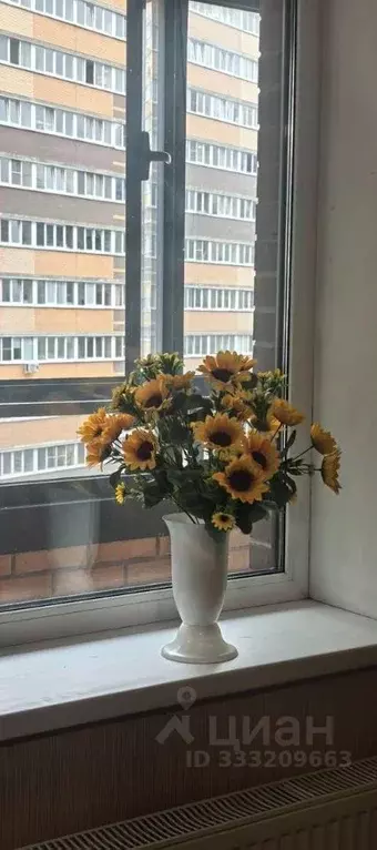 Студия Ленинградская область, Мурино Всеволожский район, ул. Шувалова, ... - Фото 1