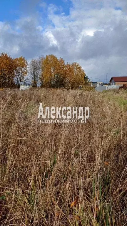 Участок 11 сот. (ИЖС) - Фото 1