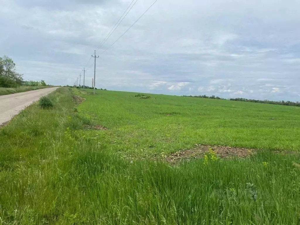 Участок в Белгородская область, Белгородский район, Беловское с/пос, ... - Фото 1