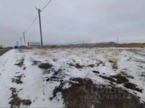 Участок в Тюменская область, Ялуторовск ул. Тизенгаузена (6.0 сот.) - Фото 0