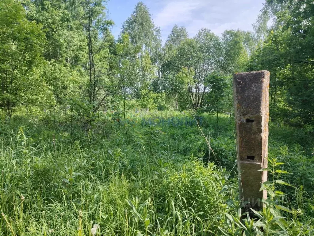 Участок в Нижегородская область, Богородский муниципальный округ, Заря ... - Фото 1