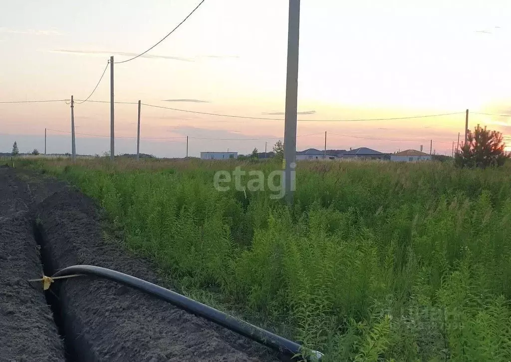 Участок в Курская область, Курский район, Моковский сельсовет, д. ... - Фото 0