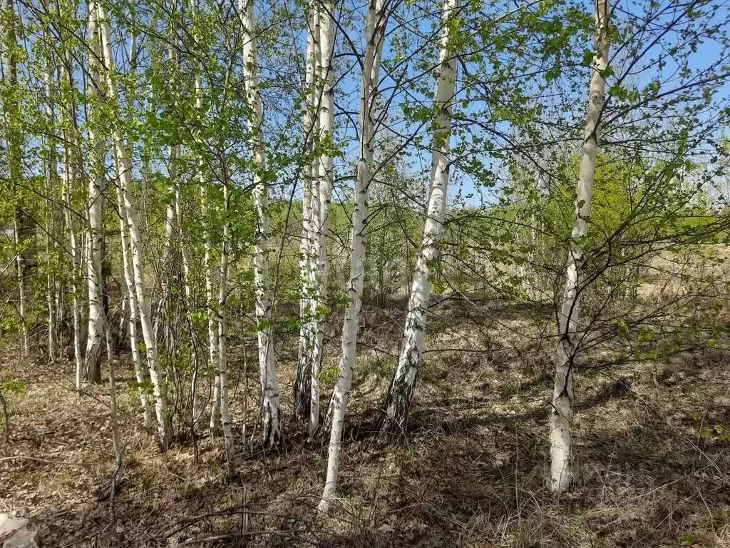 Участок в Свердловская область, Екатеринбург Седьмая Дача кп,  (10.0 ... - Фото 1