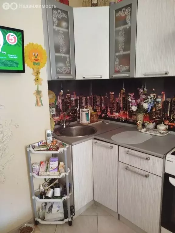 1-комнатная квартира: Санкт-Петербург, проспект Просвещения, 15 (36 м) - Фото 1