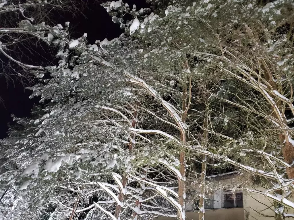 2-к кв. Вологодская область, Вологда Молочное пгт, ул. Ленина, 12 ... - Фото 2