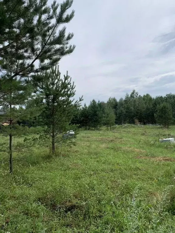 Участок в Новосибирская область, Новосибирский район, Кубовинский ... - Фото 2