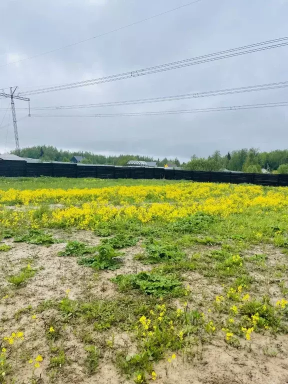 Участок в Московская область, Солнечногорск городской округ, Дачной ... - Фото 1
