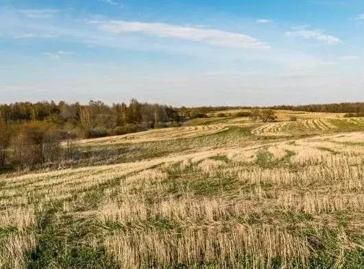 Участок 2 га (СНТ, ДНП) - Фото 0