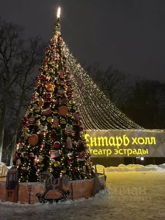 Участок в Калининградская область, Светлогорск ул. Баха (7.0 сот.) - Фото 2