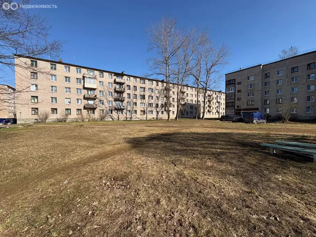 1-комнатная квартира: Бокситогорск, улица Вишнякова, 21 (30 м) - Фото 1