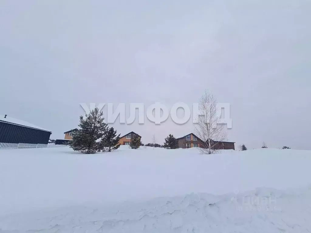 Участок в Новосибирская область, Мошковский район, пос. Октябрьский, ... - Фото 1
