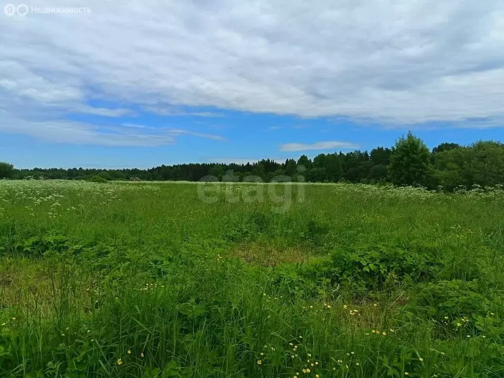 Участок в Бережковское сельское поселение, деревня Кирилловка (362.99 ... - Фото 2