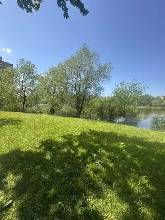 1-к. квартира, 28,7 м, 5/8 эт. - Фото 0