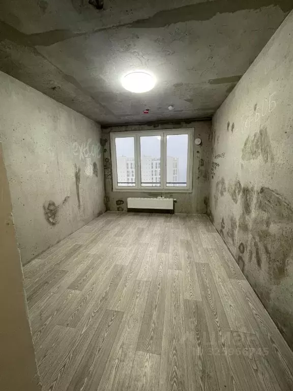 Студия Санкт-Петербург просп. Крузенштерна, 4 (20.3 м) - Фото 2