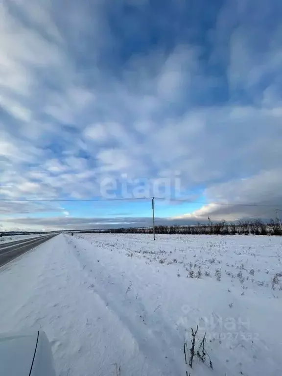 Участок в Иркутская область, Эхирит-Булагатский район, с. Кулункун  ... - Фото 1