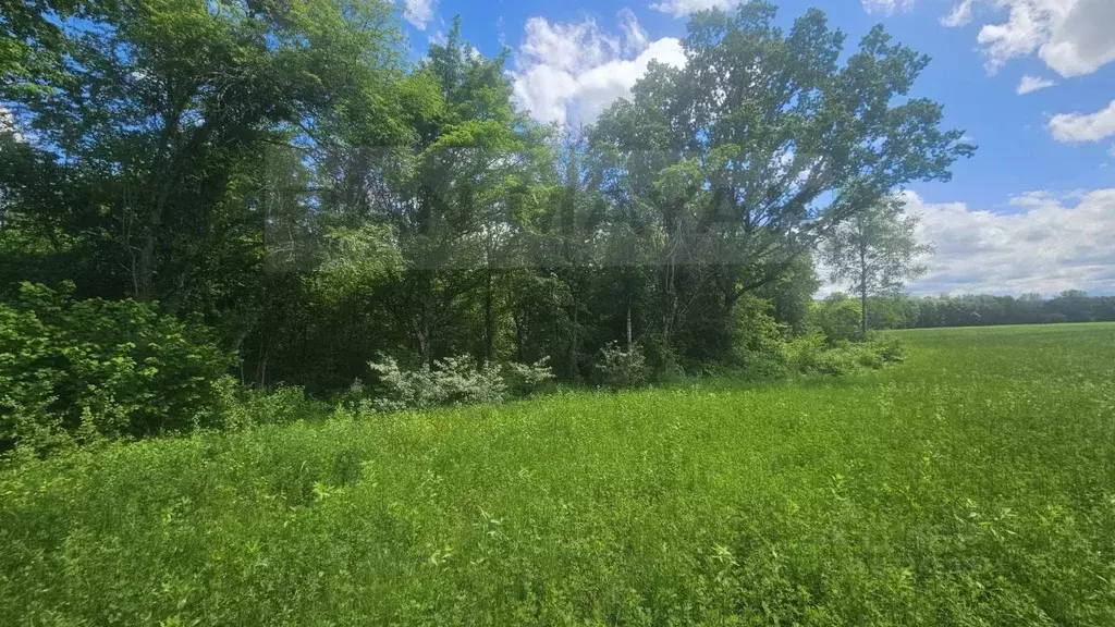 Участок в Адыгея, Майкопский район, Краснооктябрьское с/пос, пос. ... - Фото 2