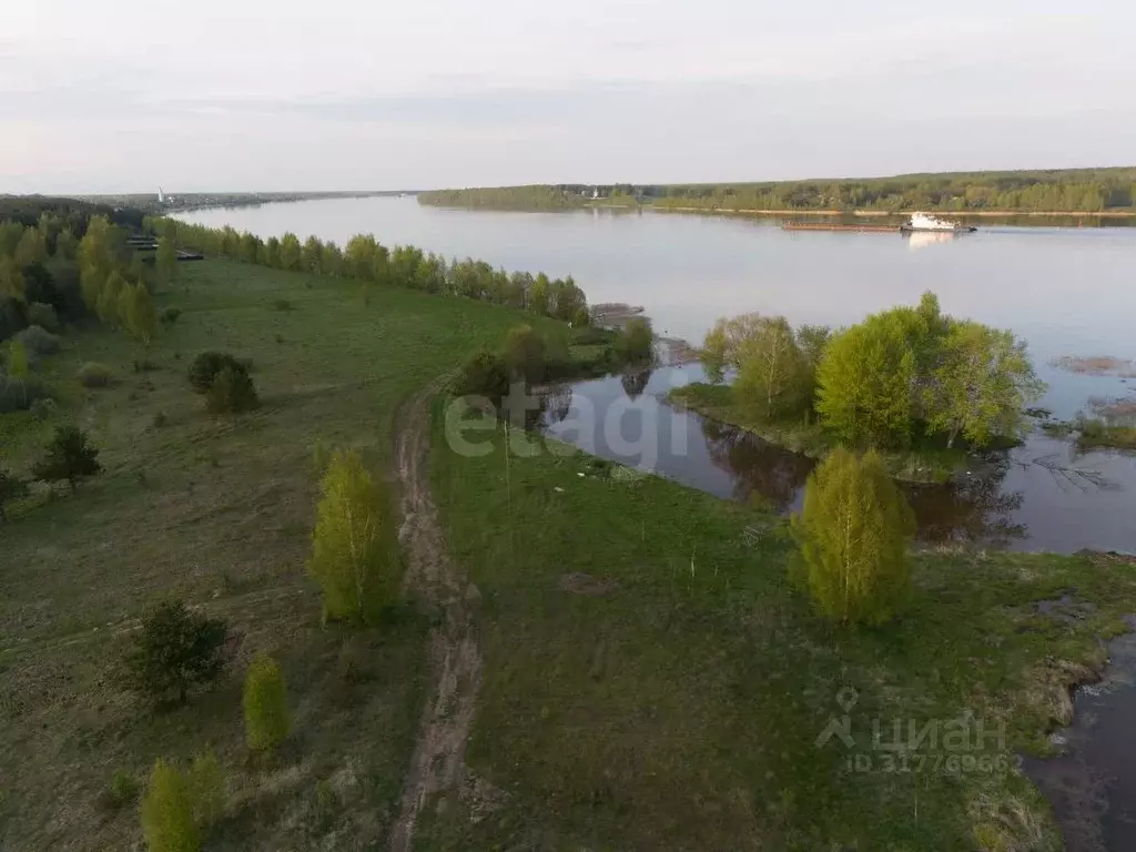 Участок в Ярославская область, Ростовский муниципальный округ, д. ... - Фото 1