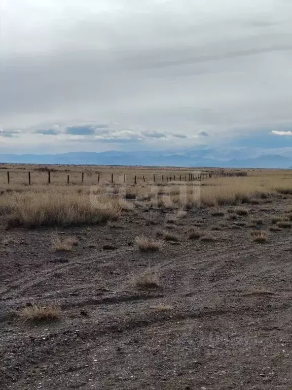 Участок в Алтай, с. Кош-Агач пл. Ленина (55999.0 сот.) - Фото 1