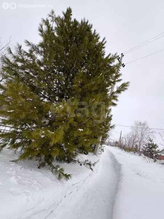 Участок в Кемеровский муниципальный округ, СДТ Берёзка (5.11 м) - Фото 2