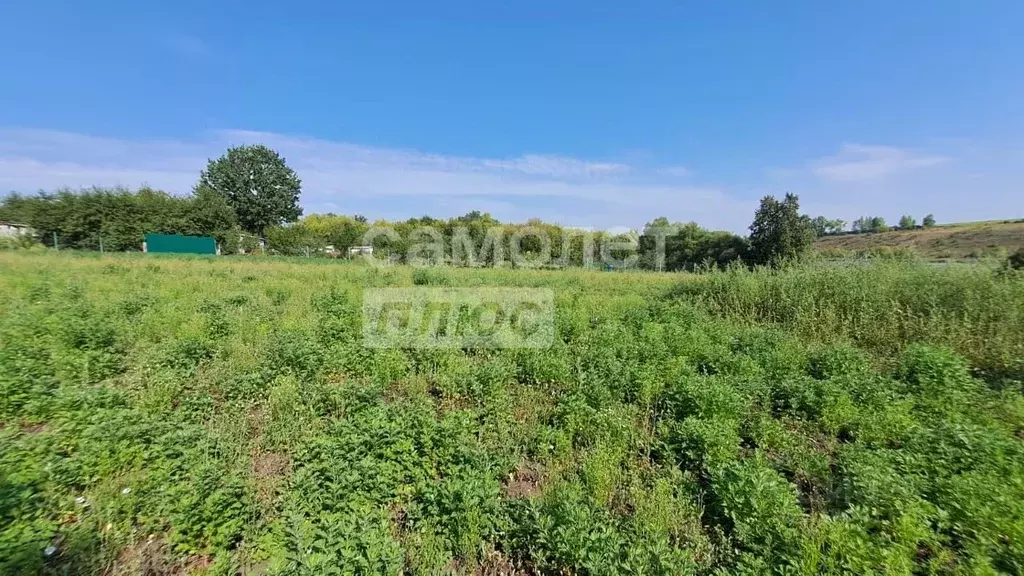 Дом в Курская область, Золотухинский район, Дмитриевский сельсовет, с. ... - Фото 2