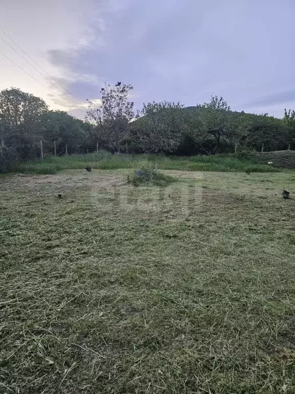 Участок в Краснодарский край, Геленджик городской округ, с. ... - Фото 2