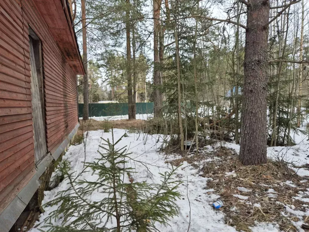 Участок в Ленинградская область, Лодейнопольский район, Доможировское ... - Фото 2