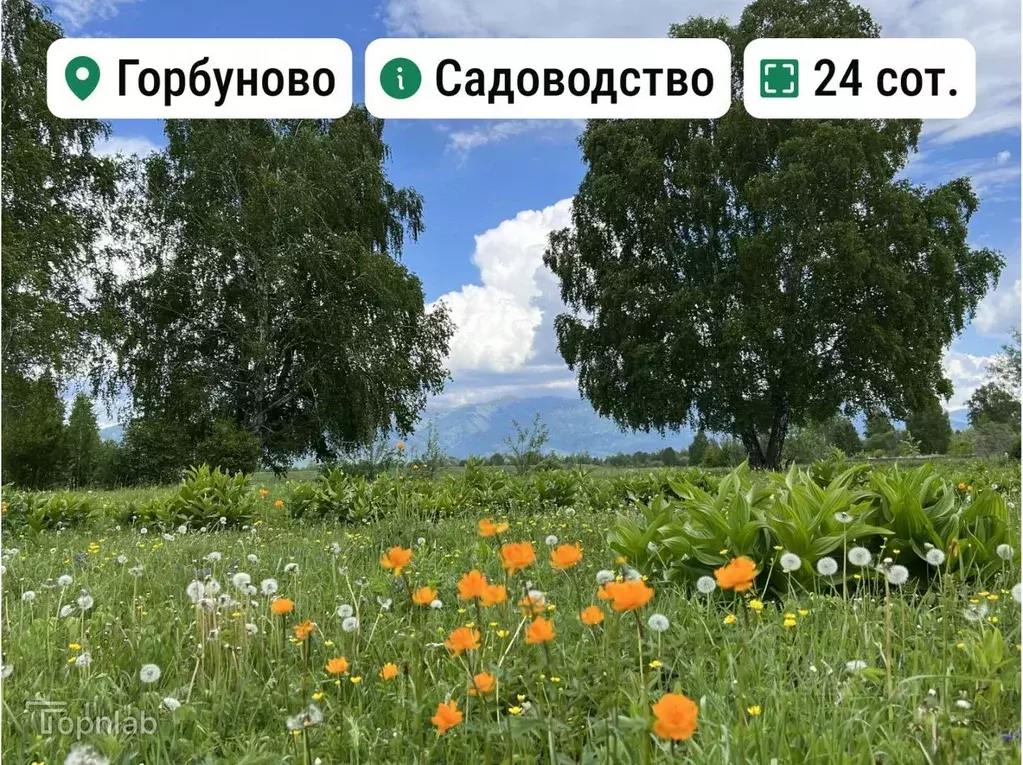 Участок в Алтай, Усть-Коксинский район, с. Горбуново  (24.0 сот.) - Фото 1