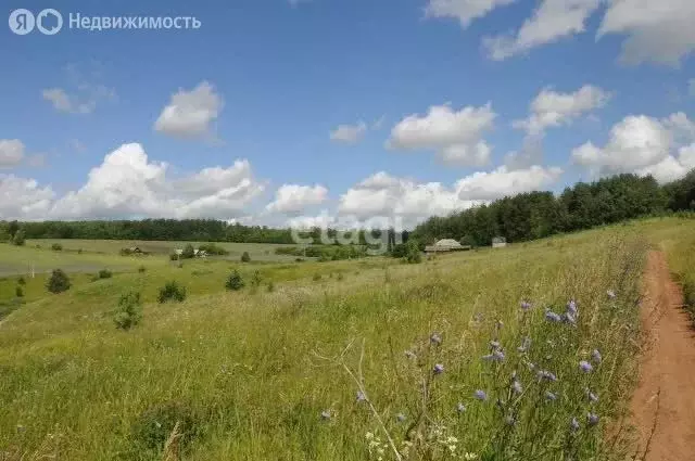 Участок в Тукаевский район, Малошильнинское сельское поселение, село ... - Фото 0