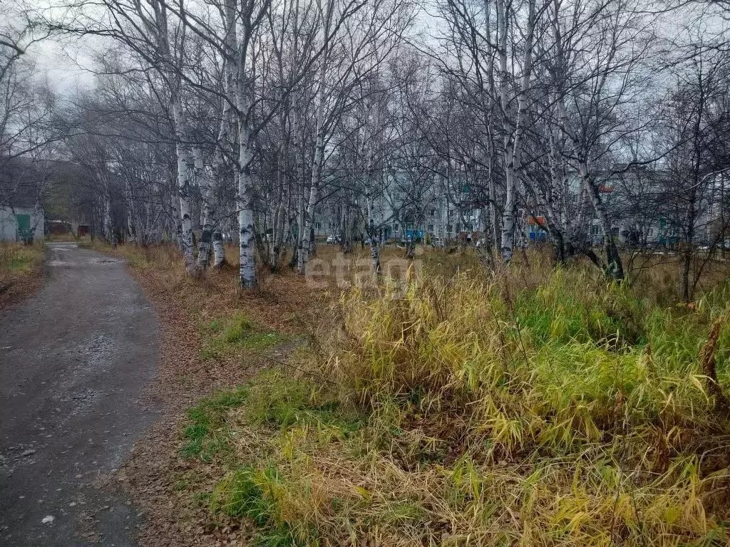Участок в Камчатский край, Елизовский муниципальный округ, пос. ... - Фото 2