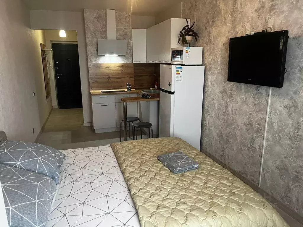 1-к кв. Томская область, Томск Большая Подгорная ул., 87 (30.0 м) - Фото 1