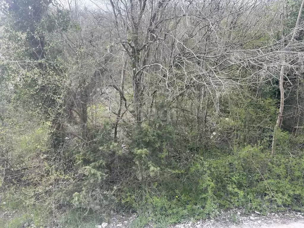 Участок в Краснодарский край, Новороссийск городской округ, с. Широкая ... - Фото 1