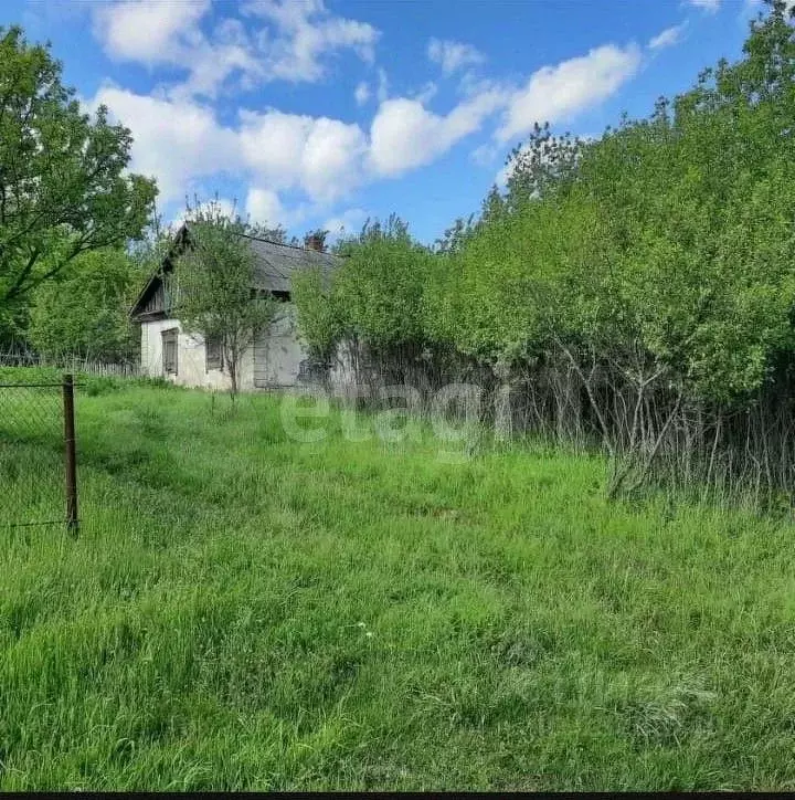 Дом в Орловская область, Орел Сиреневая ул. (63 м) - Фото 1