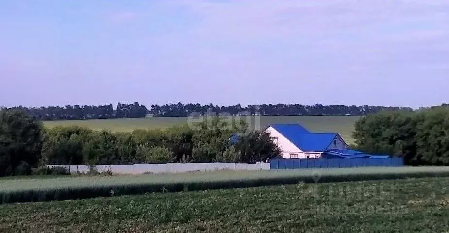 Дом в Белгородская область, Чернянский район, Большанское с/пос, Малый ... - Фото 1