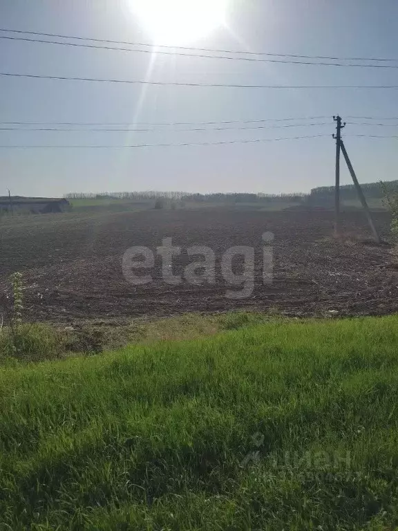 Участок в Белгородская область, Красногвардейский район, Ливенское ... - Фото 0