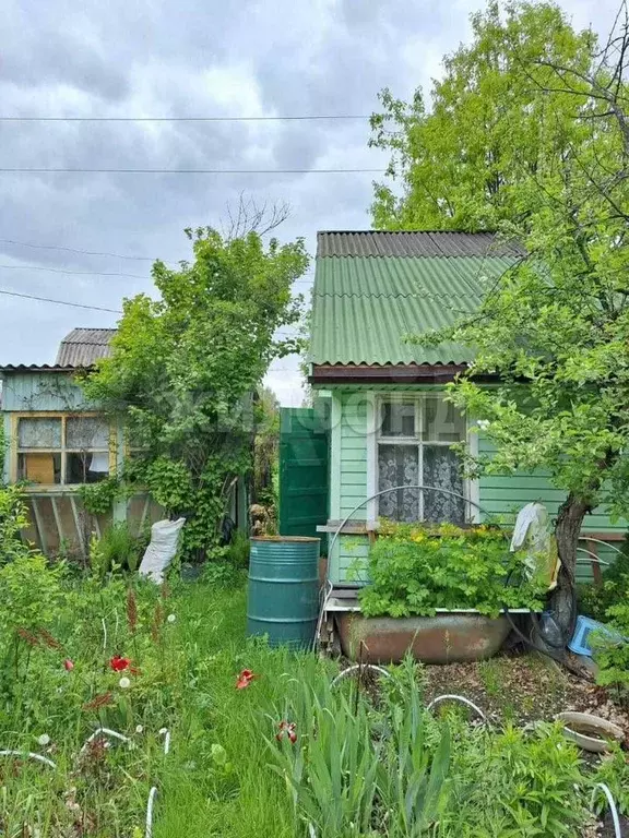 Участок 3,4 сот. (СНТ, ДНП) - Фото 1