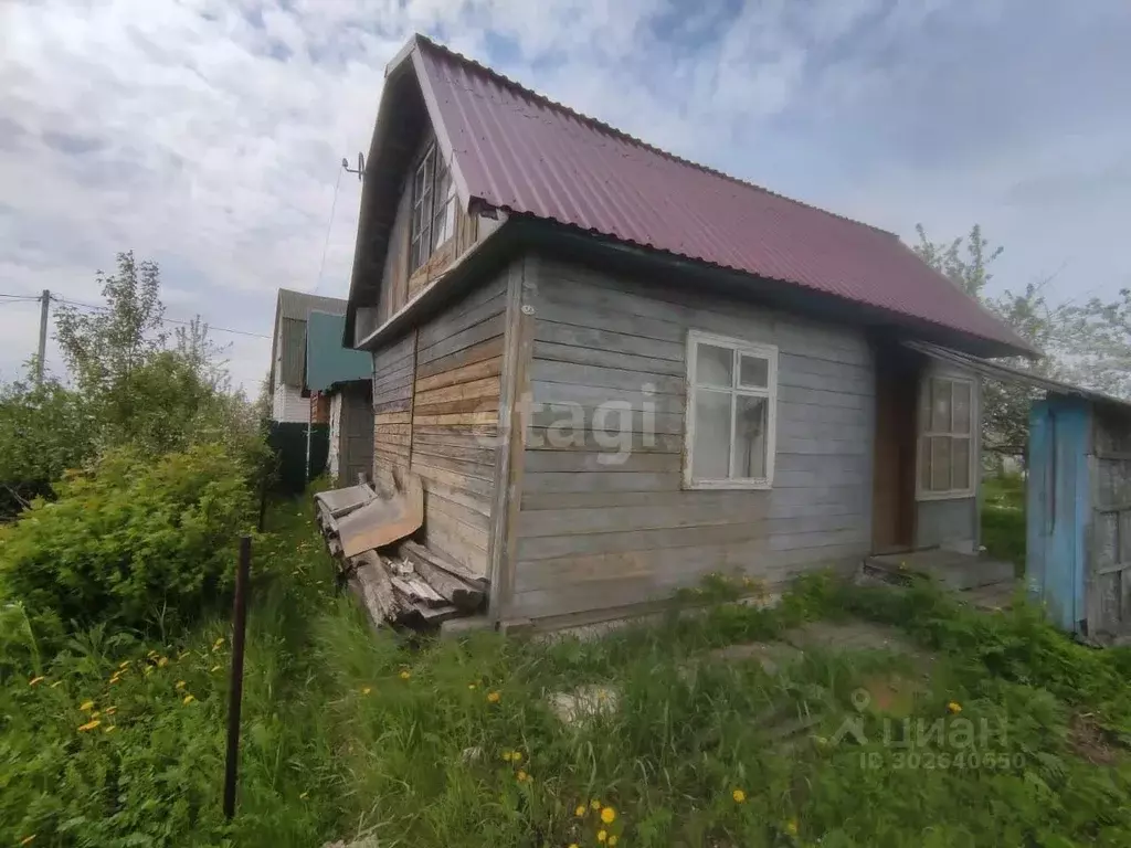 Дом в Новосибирская область, Новосибирск Рабис СНТ, 34 (50 м) - Фото 1