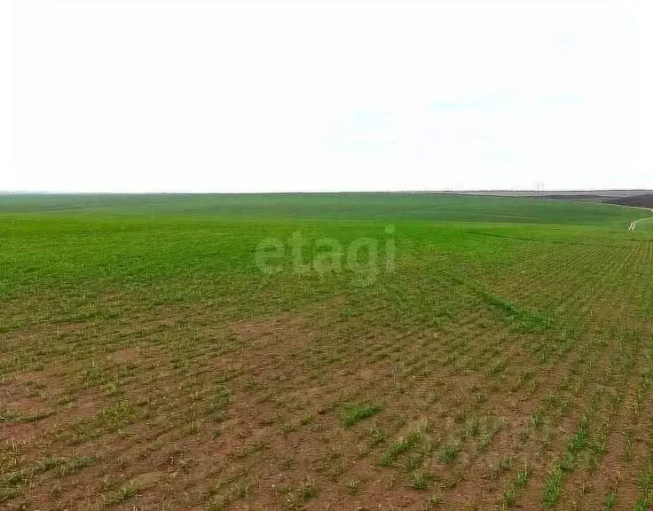 Участок в Оренбургская область, Оренбург  (237.56 сот.) - Фото 2