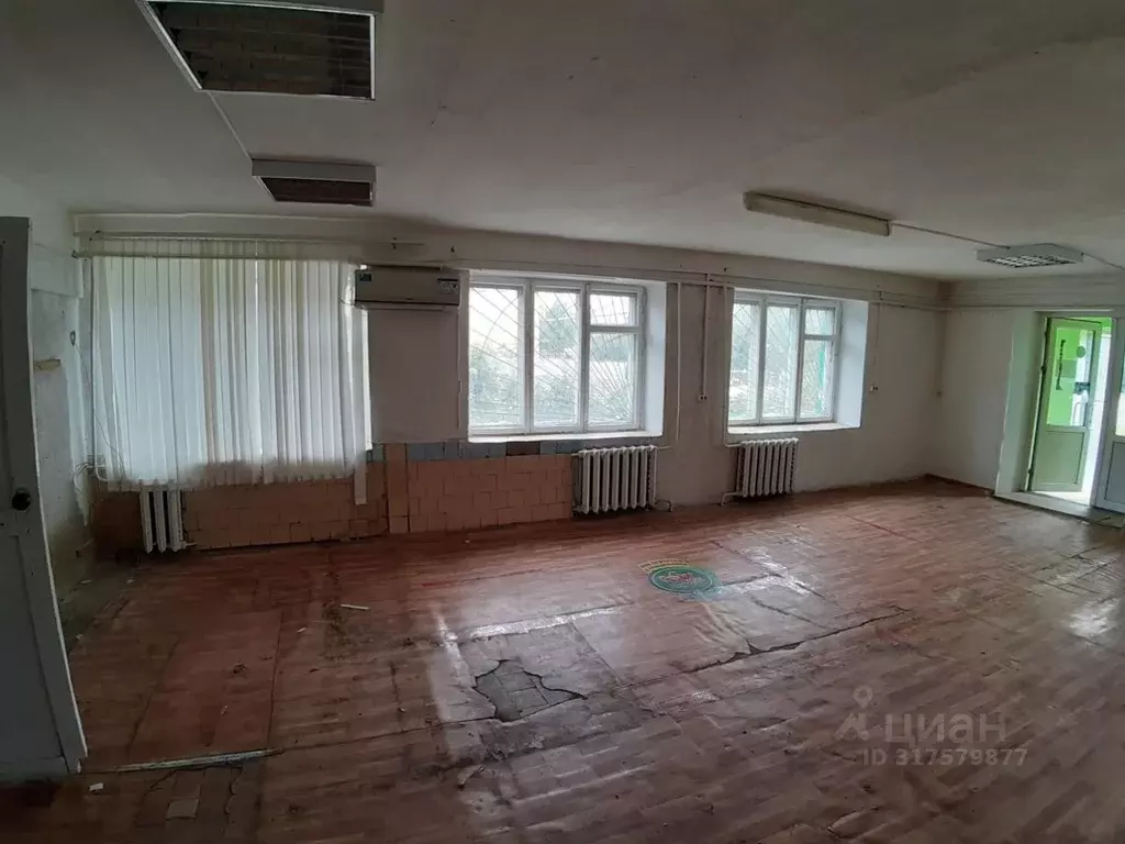 Помещение свободного назначения в Нижегородская область, Пильна рп ул. ... - Фото 1
