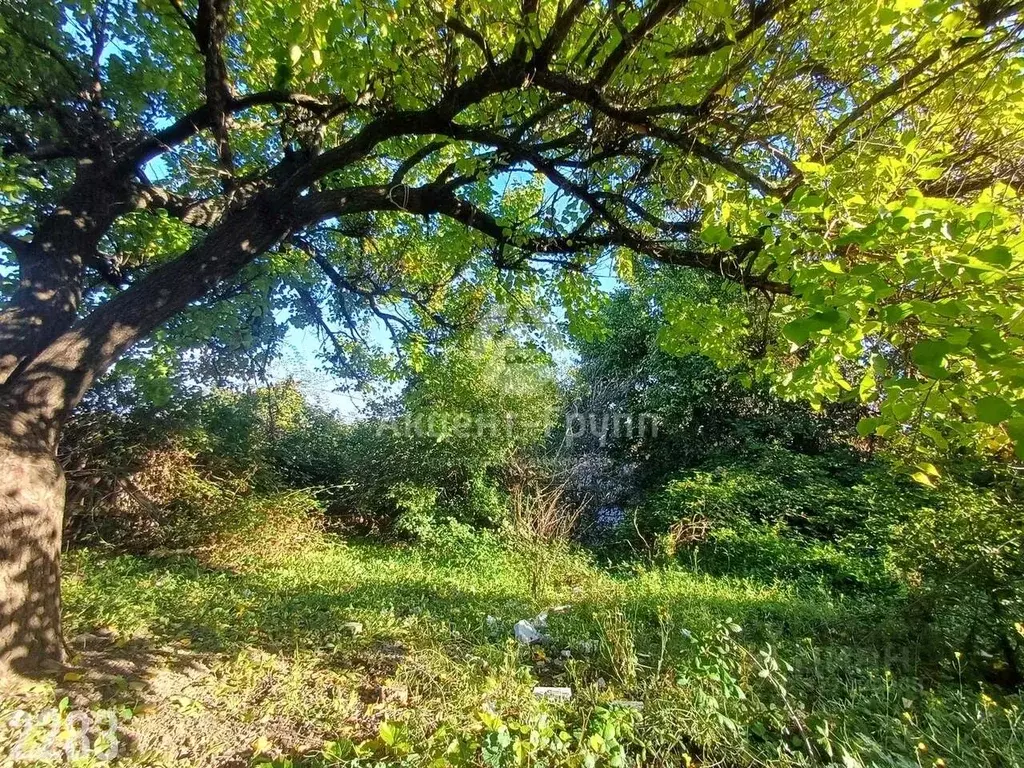 Участок в Севастополь ул. Мореходная, 86 (8.9 сот.) - Фото 1