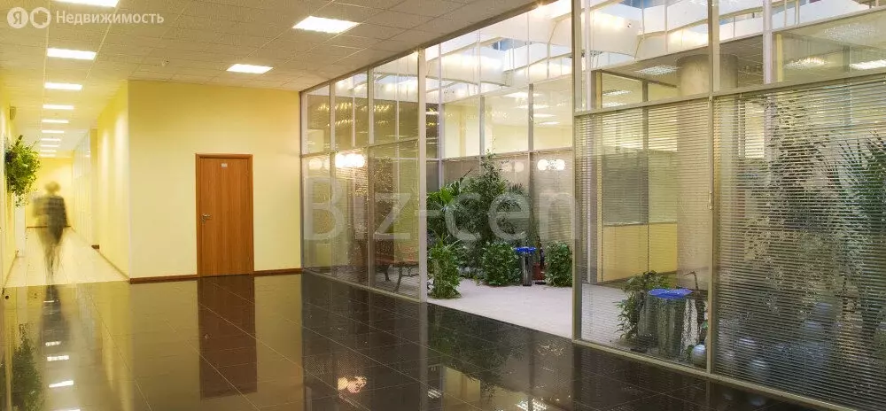 Офис (114.9 м) - Фото 1
