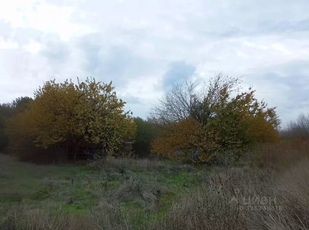 Участок в Ростовская область, Ростов-на-Дону Урожай садовое ... - Фото 2