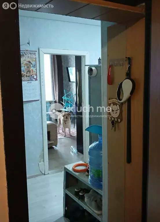 2-комнатная квартира: Казань, улица Мусина, 59Бк2 (32.9 м) - Фото 1