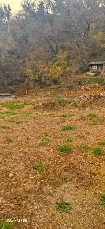 Участок в Крым, Ялта городской округ, пос. Даниловка ул. Тенистая, 5 ... - Фото 1