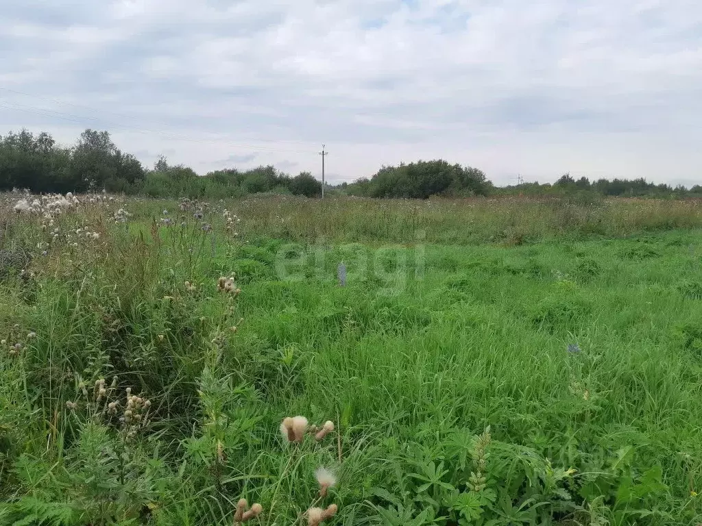 Дом в Вологодская область, Харовский муниципальный округ, д. ... - Фото 1