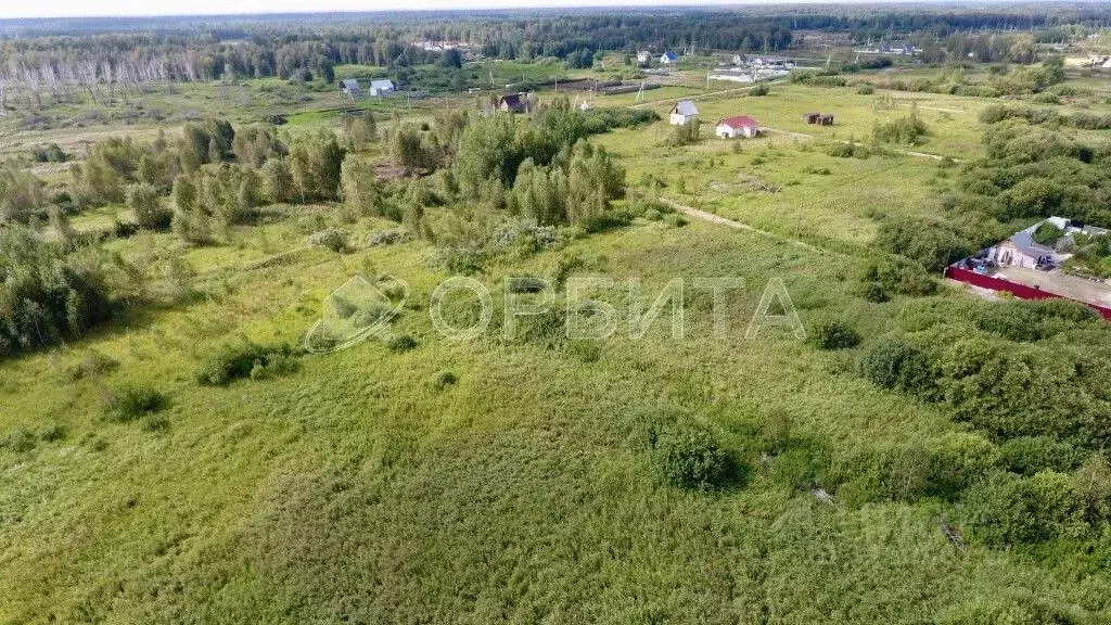 Участок в Тюменская область, Нижнетавдинский муниципальный округ, ... - Фото 2
