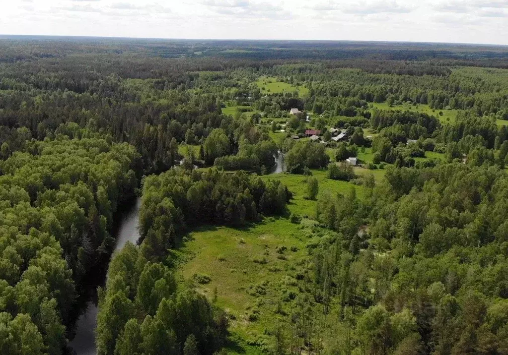 Участок в Нижегородская область, Чкаловск муниципальный округ, д. ... - Фото 0