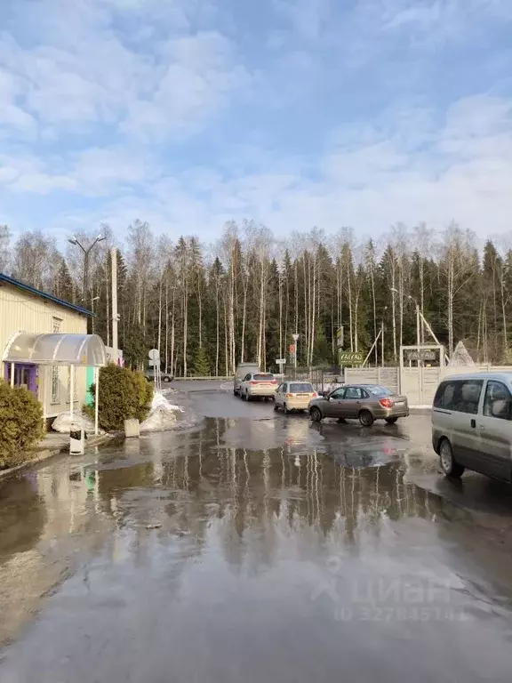 Торговая площадь в Ленинградская область, Сертолово Всеволожский ... - Фото 1